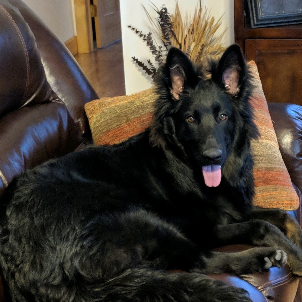 Meet your Posher, Melissa